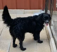 processed/7fd05058-eca9-4e79-85ea-a61bd5404ab0/listing/458f3a7d-fb2e-4c31-a784-67ea97f6ecb3/03cadc8f-43c3-43cf-9cf8-112d4c301c70