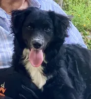 processed/7fd05058-eca9-4e79-85ea-a61bd5404ab0/listing/458f3a7d-fb2e-4c31-a784-67ea97f6ecb3/441fa971-620d-43a6-b166-6c5e4edf3d73