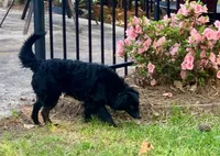 processed/7fd05058-eca9-4e79-85ea-a61bd5404ab0/listing/458f3a7d-fb2e-4c31-a784-67ea97f6ecb3/90f7ef2f-6057-4f2a-90f6-8974a352c2c4