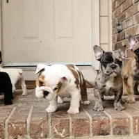 processed/7fd5a255-e33d-424f-8d77-bfbc6fdc596b/facility/03fe9cb8-0606-4e24-b8c4-8d1085f640f0