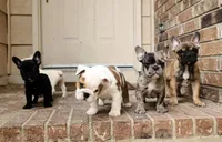 processed/7fd5a255-e33d-424f-8d77-bfbc6fdc596b/facility/03fe9cb8-0606-4e24-b8c4-8d1085f640f0