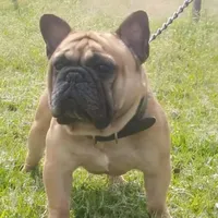 processed/7fd5a255-e33d-424f-8d77-bfbc6fdc596b/facility/06d31ed8-54ed-43d5-82a0-9cc4c85926ae