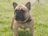 processed/7fd5a255-e33d-424f-8d77-bfbc6fdc596b/facility/06d31ed8-54ed-43d5-82a0-9cc4c85926ae