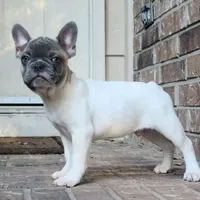 processed/7fd5a255-e33d-424f-8d77-bfbc6fdc596b/facility/16016479-869f-4910-8de6-142c8e62d636