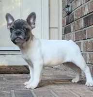 processed/7fd5a255-e33d-424f-8d77-bfbc6fdc596b/facility/16016479-869f-4910-8de6-142c8e62d636