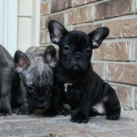 processed/7fd5a255-e33d-424f-8d77-bfbc6fdc596b/facility/53a4bb53-0479-4056-a141-221cfb069d75