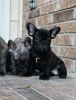 processed/7fd5a255-e33d-424f-8d77-bfbc6fdc596b/facility/53a4bb53-0479-4056-a141-221cfb069d75