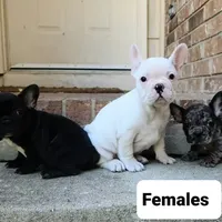 processed/7fd5a255-e33d-424f-8d77-bfbc6fdc596b/facility/7051fda0-d13d-4c0b-8019-8348dcff1a9f