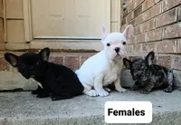 processed/7fd5a255-e33d-424f-8d77-bfbc6fdc596b/facility/7051fda0-d13d-4c0b-8019-8348dcff1a9f