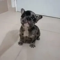 processed/7fd5a255-e33d-424f-8d77-bfbc6fdc596b/facility/7cbb3821-4772-424a-b5a5-36eba9b1ec58