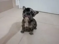 processed/7fd5a255-e33d-424f-8d77-bfbc6fdc596b/facility/7cbb3821-4772-424a-b5a5-36eba9b1ec58