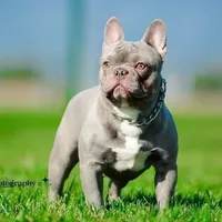 processed/7fd5a255-e33d-424f-8d77-bfbc6fdc596b/facility/8069cc49-0e5e-4943-ba7d-50a0f0e08ce1