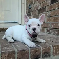 processed/7fd5a255-e33d-424f-8d77-bfbc6fdc596b/facility/80decec0-e97d-4a26-b3b6-5a54f0c364b9