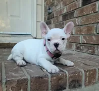 processed/7fd5a255-e33d-424f-8d77-bfbc6fdc596b/facility/80decec0-e97d-4a26-b3b6-5a54f0c364b9