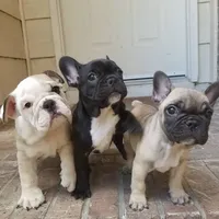 processed/7fd5a255-e33d-424f-8d77-bfbc6fdc596b/facility/fc6fe567-e30a-48db-8c67-670dbe59a402