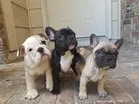 processed/7fd5a255-e33d-424f-8d77-bfbc6fdc596b/facility/fc6fe567-e30a-48db-8c67-670dbe59a402