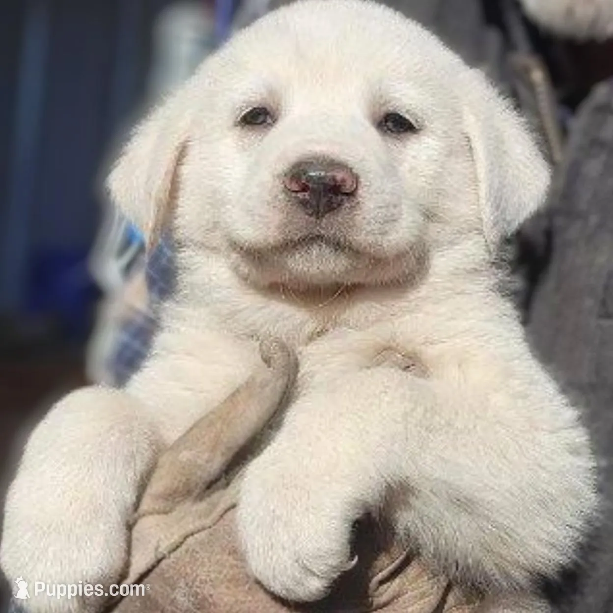 processed/7fd7ae8a-7b3a-422b-a57b-ea139c9158c7/facility/0eff97be-971e-4eb5-ae98-c38f30229c4c