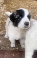 processed/7fd7ae8a-7b3a-422b-a57b-ea139c9158c7/facility/46281bd0-3fa3-45b8-a42f-4bf1a2d70d62