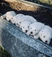 processed/7fd7ae8a-7b3a-422b-a57b-ea139c9158c7/facility/9c5735b9-d4da-4098-9033-c5a7939bc281