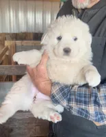 processed/7fd7ae8a-7b3a-422b-a57b-ea139c9158c7/facility/a4a6f24d-c95a-4339-a937-705d6b8e8055