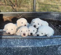 processed/7fd7ae8a-7b3a-422b-a57b-ea139c9158c7/facility/a85858df-ccc7-43d0-8173-dfef8805ea16