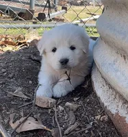 processed/7fd7ae8a-7b3a-422b-a57b-ea139c9158c7/facility/b4d7957e-8b8f-4137-be5a-eac7babdb4b9