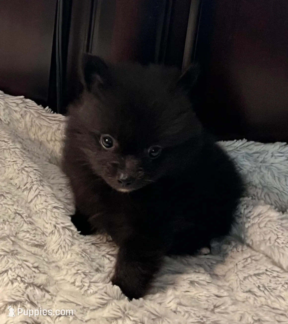 processed/7fde2f9e-6446-4eb4-8968-d9b602cc48a0/listing/3c70518c-1217-4290-a1c7-2267530ef29a/17006fc6-e028-4646-b051-1e231c79aa2e