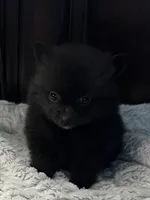 processed/7fde2f9e-6446-4eb4-8968-d9b602cc48a0/listing/3c70518c-1217-4290-a1c7-2267530ef29a/6a27f2af-3c38-45ab-8b50-32d26a8e4d3e