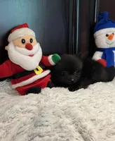 processed/7fde2f9e-6446-4eb4-8968-d9b602cc48a0/listing/3c70518c-1217-4290-a1c7-2267530ef29a/ac153d55-d566-4781-a8cc-5231a0ca08be