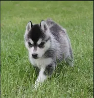 processed/7fe67fd7-4b30-4a2d-a20c-d239c025febc/facility/3c3a15a6-cd82-4deb-b010-ee9fa6aabf14