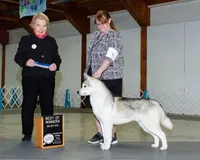 processed/7fe67fd7-4b30-4a2d-a20c-d239c025febc/facility/57d24c46-c78e-43f1-9e40-cea9f7292c88