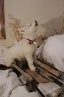 processed/7fe67fd7-4b30-4a2d-a20c-d239c025febc/facility/7f62c9da-0d9c-452c-abb1-1bc7ee7c9863