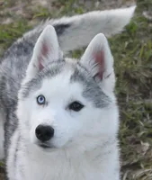 processed/7fe67fd7-4b30-4a2d-a20c-d239c025febc/facility/94334eae-7b88-4f19-a1be-6075ca3e0321