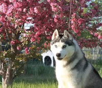 processed/7fe67fd7-4b30-4a2d-a20c-d239c025febc/facility/b509373c-585f-4d79-8aa9-c96cc1cf5909