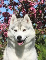 processed/7fe67fd7-4b30-4a2d-a20c-d239c025febc/facility/dab70376-ea13-4c07-9c71-dbb58ebfabf2