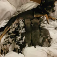 processed/7fe988bb-9d0c-4785-9238-bb49caf46e7a/facility/42522f2d-068a-42a7-a477-e11c510db154