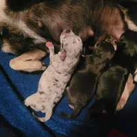 processed/7fe988bb-9d0c-4785-9238-bb49caf46e7a/facility/613f695b-3f2d-49f2-8a3d-0c6f6b30fd26