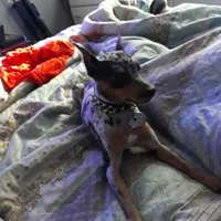 processed/7fe988bb-9d0c-4785-9238-bb49caf46e7a/facility/63ea1533-35d7-4cc0-bdbf-ca033f4017ef