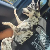 processed/7fe988bb-9d0c-4785-9238-bb49caf46e7a/facility/731ccb65-7bd7-49aa-b013-2ffdee80a32e