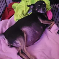 processed/7fe988bb-9d0c-4785-9238-bb49caf46e7a/facility/8f3d42b2-29ee-438b-9862-6c21af9f20c3