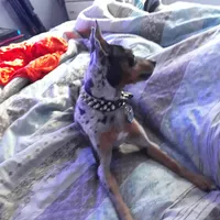 processed/7fe988bb-9d0c-4785-9238-bb49caf46e7a/facility/9347126c-172c-417a-8f7b-19f5892e9776