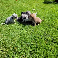 processed/7fe988bb-9d0c-4785-9238-bb49caf46e7a/facility/b6ed58b7-1e84-4d51-a32f-f5376ad888de