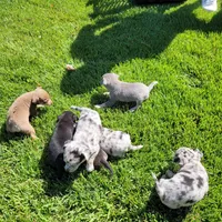 processed/7fe988bb-9d0c-4785-9238-bb49caf46e7a/facility/e5324b57-2601-4877-822a-b98df0168a34