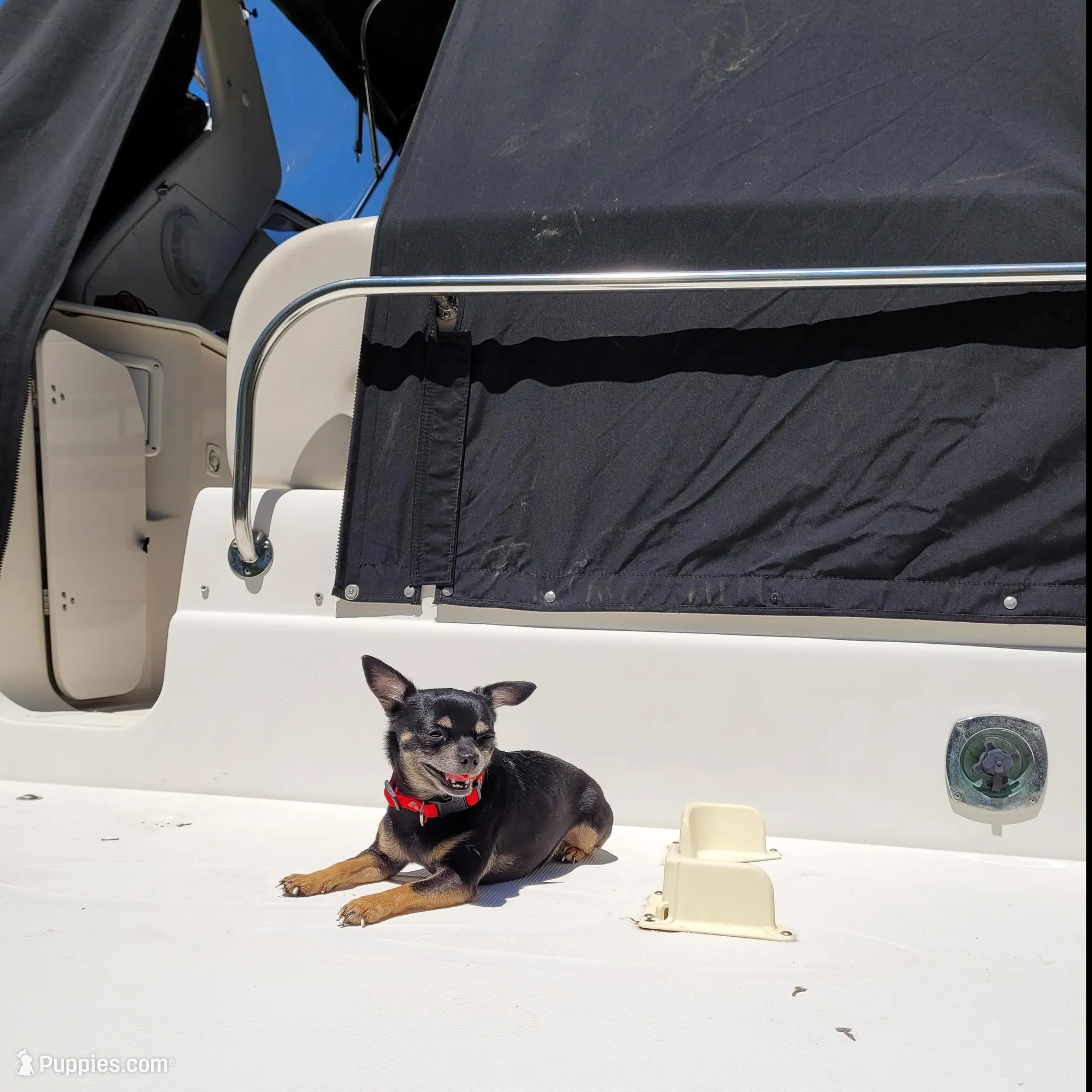 processed/7fe988bb-9d0c-4785-9238-bb49caf46e7a/facility/eb039ac1-1426-4f04-b8dd-92036915b9e5