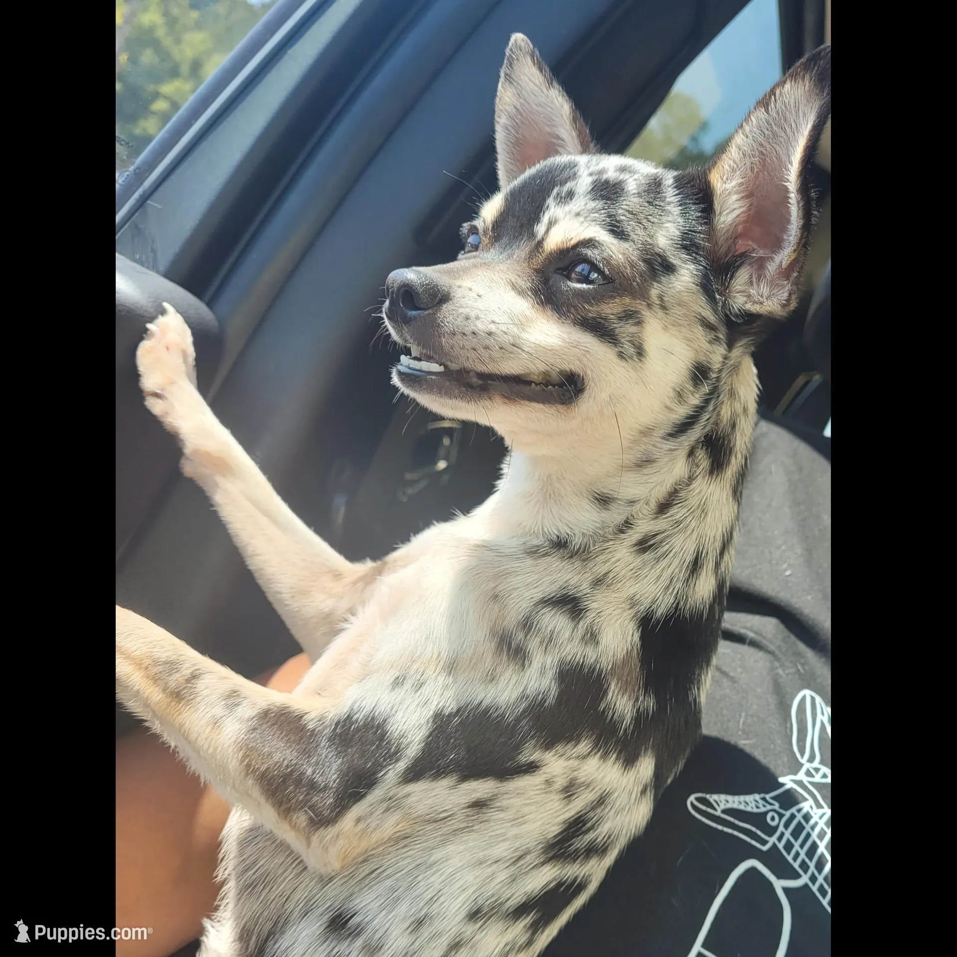 processed/7fe988bb-9d0c-4785-9238-bb49caf46e7a/facility/f907c794-b737-45d2-b9ac-1f97eaa4837d