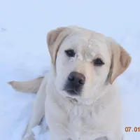 processed/7fef1783-9a48-4ba9-a119-38ad845ef62b/facility/14aa3a63-787f-487d-9cd6-5661866c2f81