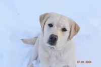 processed/7fef1783-9a48-4ba9-a119-38ad845ef62b/facility/14aa3a63-787f-487d-9cd6-5661866c2f81