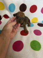 processed/7fefcf96-de13-4ea9-99af-06f772236746/listing/6755767a-7247-4e2f-a244-3f743e6242e5/11e2e01a-5310-4a01-b2c4-96adc4d64645