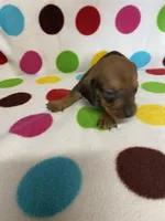 processed/7fefcf96-de13-4ea9-99af-06f772236746/listing/6755767a-7247-4e2f-a244-3f743e6242e5/54cc8778-f186-4f5b-adae-0820a2ecfd2e