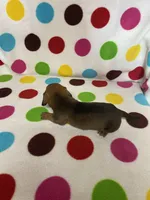 processed/7fefcf96-de13-4ea9-99af-06f772236746/listing/6755767a-7247-4e2f-a244-3f743e6242e5/5b262466-8241-4197-bb45-38249a086ce5